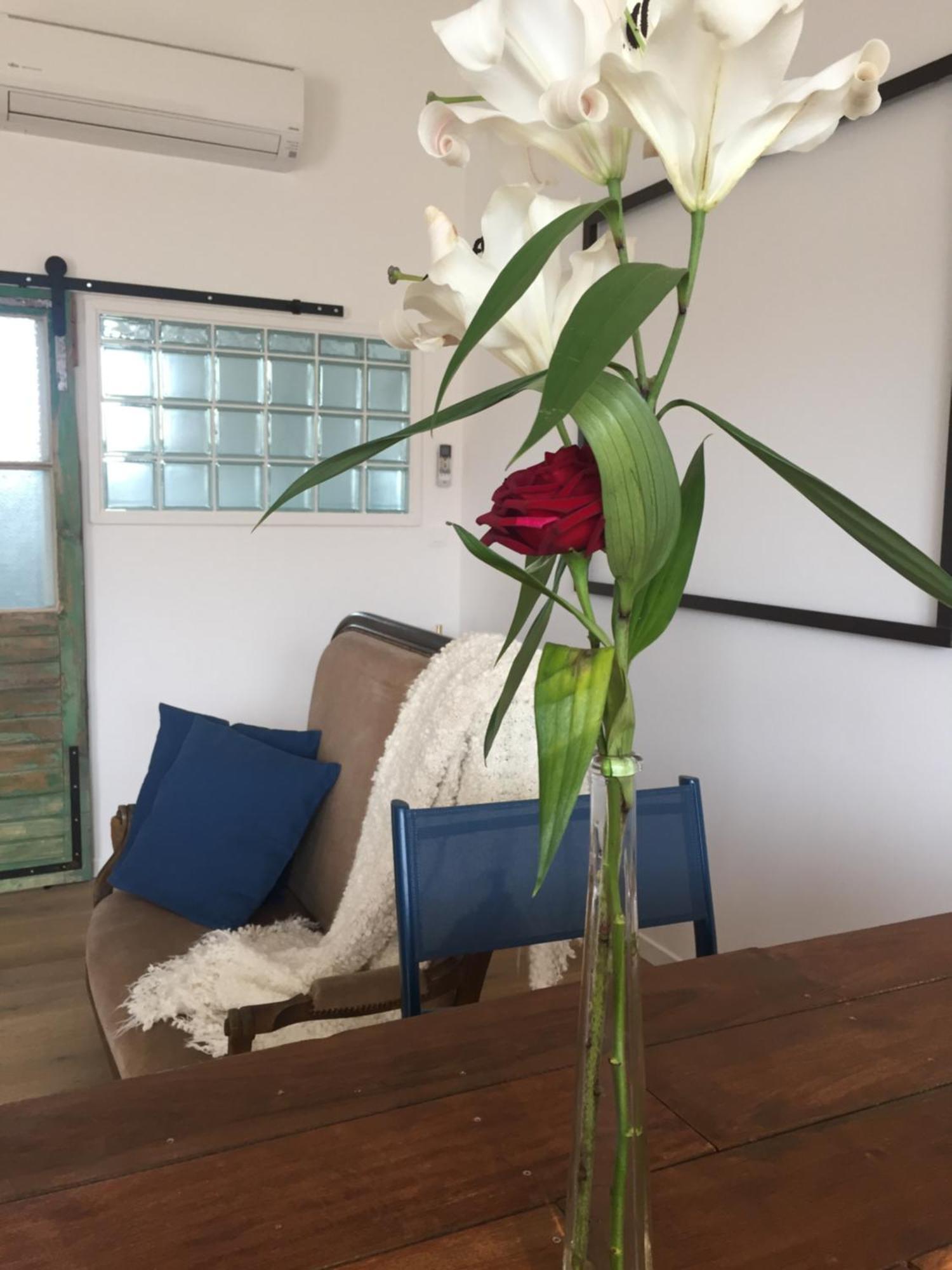 Apartament Mas Roubel Saint-Gilles  Zewnętrze zdjęcie